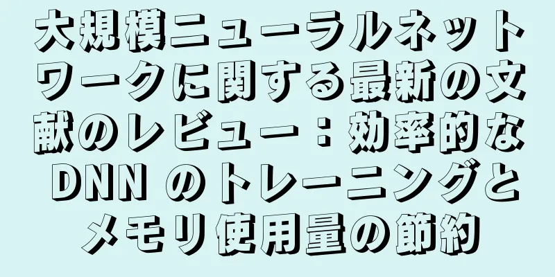 大規模ニューラルネットワークに関する最新の文献のレビュー：効率的な DNN のトレーニングとメモリ使用量の節約