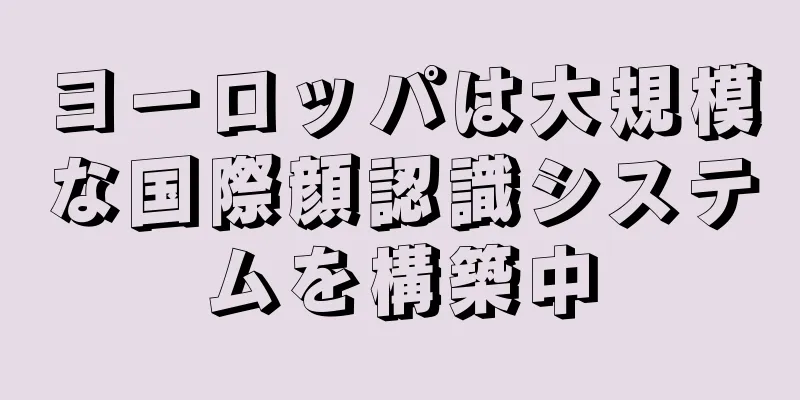 ヨーロッパは大規模な国際顔認識システムを構築中