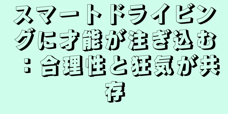 スマートドライビングに才能が注ぎ込む：合理性と狂気が共存