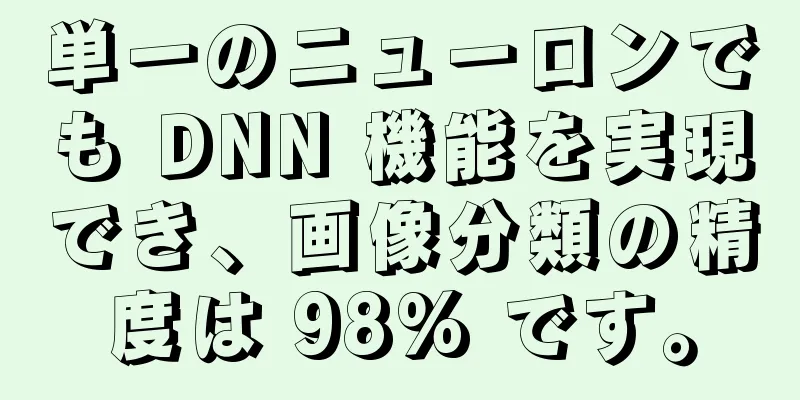 単一のニューロンでも DNN 機能を実現でき、画像分類の精度は 98% です。
