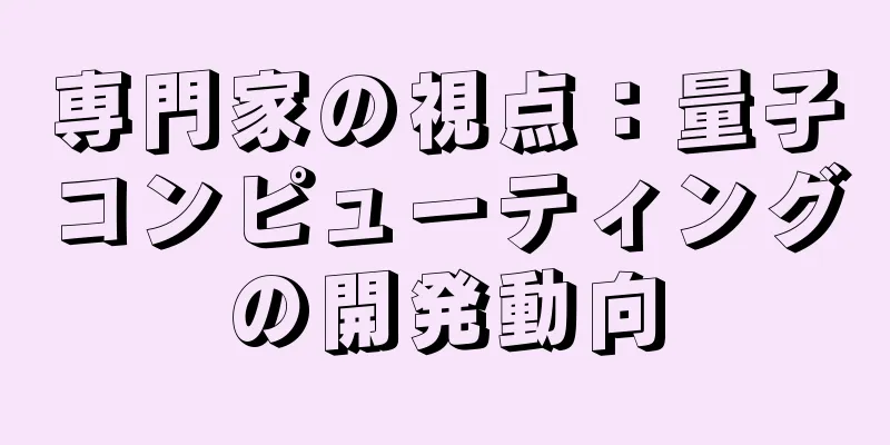 専門家の視点：量子コンピューティングの開発動向
