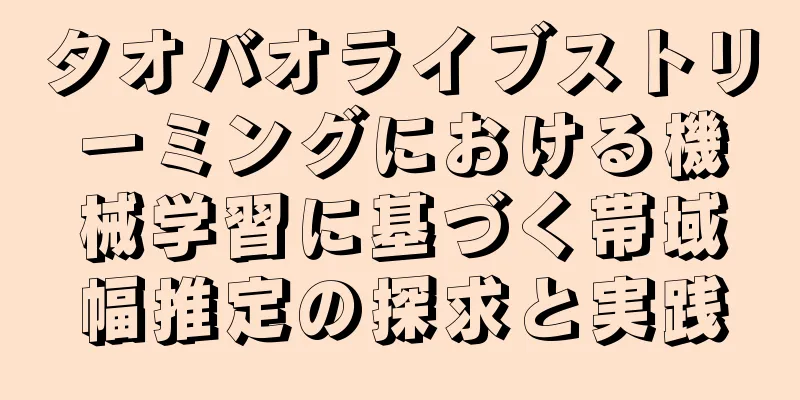 タオバオライブストリーミングにおける機械学習に基づく帯域幅推定の探求と実践