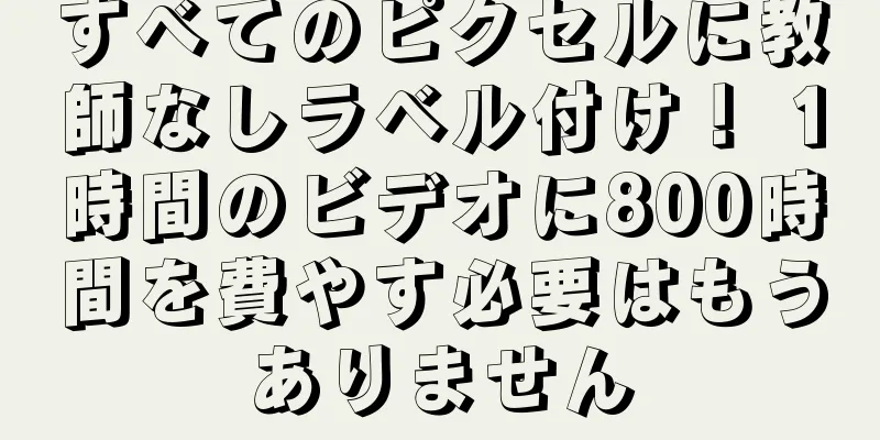 すべてのピクセルに教師なしラベル付け！ 1時間のビデオに800時間を費やす必要はもうありません
