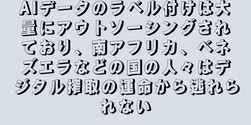 AIデータのラベル付けは大量にアウトソーシングされており、南アフリカ、ベネズエラなどの国の人々はデジタル搾取の運命から逃れられない
