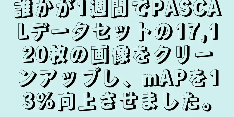 誰かが1週間でPASCALデータセットの17,120枚の画像をクリーンアップし、mAPを13%向上させました。