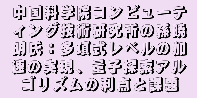 中国科学院コンピューティング技術研究所の孫暁明氏：多項式レベルの加速の実現、量子探索アルゴリズムの利点と課題
