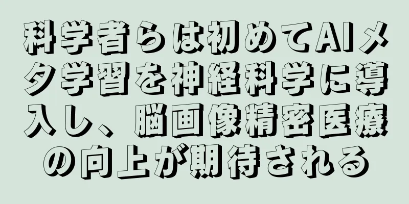 科学者らは初めてAIメタ学習を神経科学に導入し、脳画像精密医療の向上が期待される