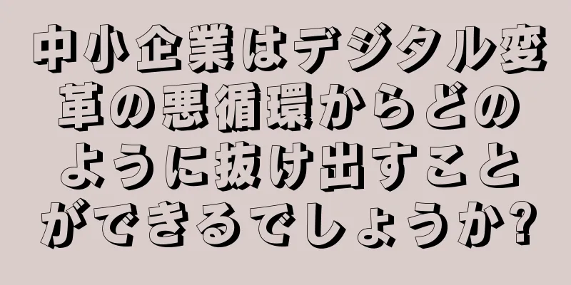 中小企業はデジタル変革の悪循環からどのように抜け出すことができるでしょうか?