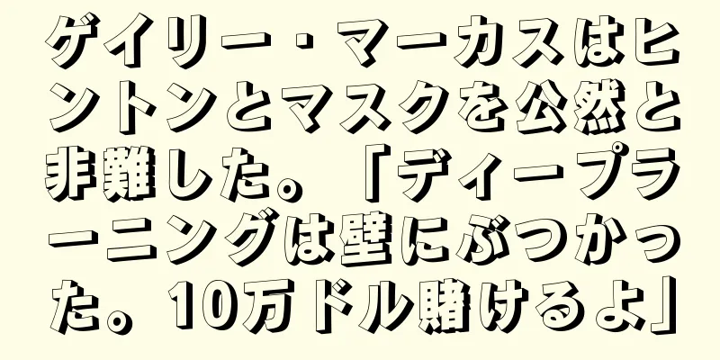 ゲイリー・マーカスはヒントンとマスクを公然と非難した。「ディープラーニングは壁にぶつかった。10万ドル賭けるよ」