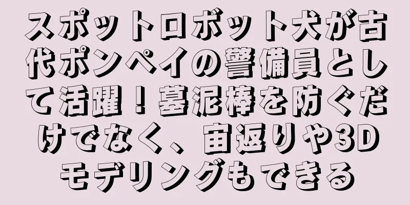 スポットロボット犬が古代ポンペイの警備員として活躍！墓泥棒を防ぐだけでなく、宙返りや3Dモデリングもできる