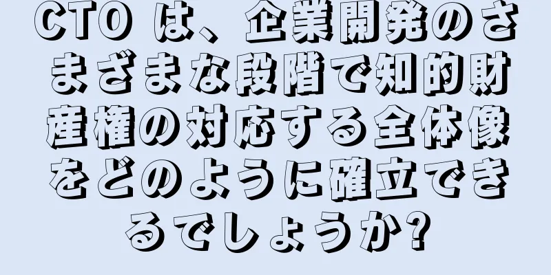 CTO は、企業開発のさまざまな段階で知的財産権の対応する全体像をどのように確立できるでしょうか?