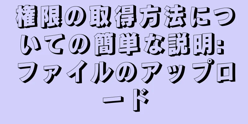 権限の取得方法についての簡単な説明: ファイルのアップロード
