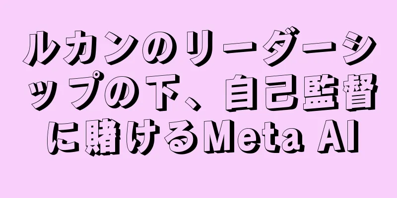 ルカンのリーダーシップの下、自己監督に賭けるMeta AI