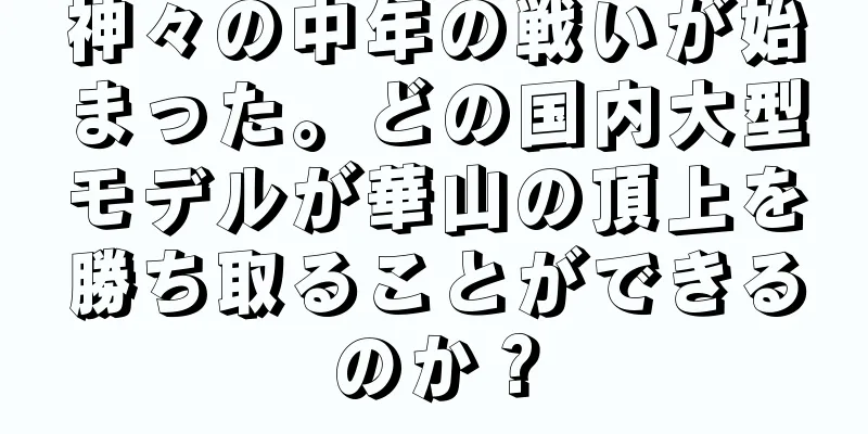 神々の中年の戦いが始まった。どの国内大型モデルが華山の頂上を勝ち取ることができるのか？