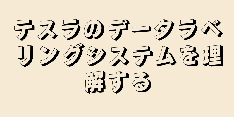 テスラのデータラベリングシステムを理解する