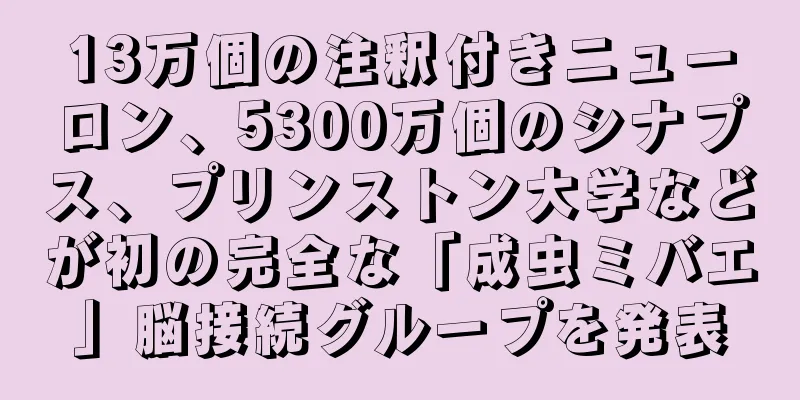 13万個の注釈付きニューロン、5300万個のシナプス、プリンストン大学などが初の完全な「成虫ミバエ」脳接続グループを発表
