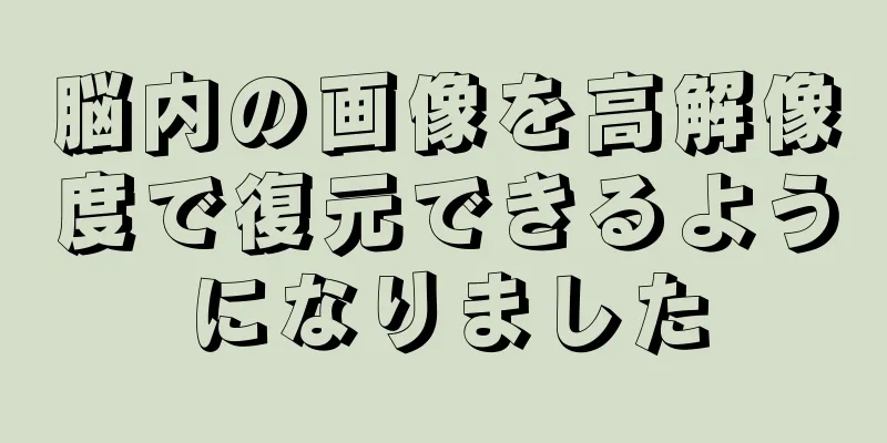 脳内の画像を高解像度で復元できるようになりました
