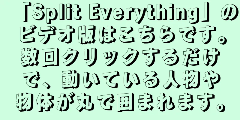 「Split Everything」のビデオ版はこちらです。数回クリックするだけで、動いている人物や物体が丸で囲まれます。