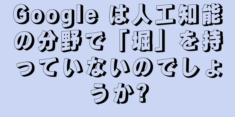 Google は人工知能の分野で「堀」を持っていないのでしょうか?