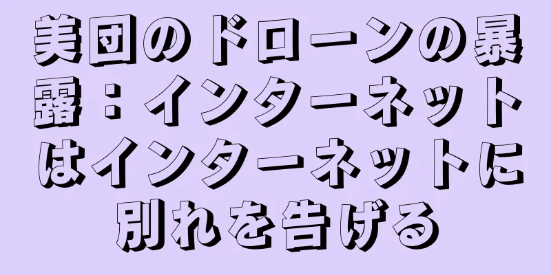 美団のドローンの暴露：インターネットはインターネットに別れを告げる