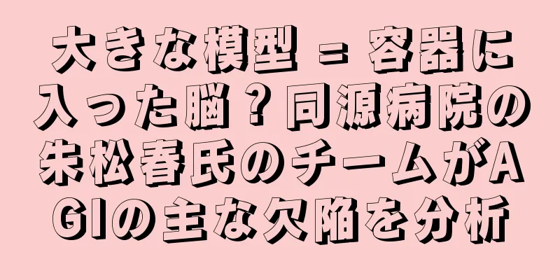 大きな模型 = 容器に入った脳？同源病院の朱松春氏のチームがAGIの主な欠陥を分析