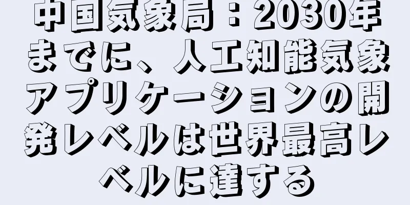 中国気象局：2030年までに、人工知能気象アプリケーションの開発レベルは世界最高レベルに達する