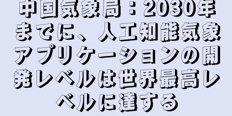 中国気象局：2030年までに、人工知能気象アプリケーションの開発レベルは世界最高レベルに達する