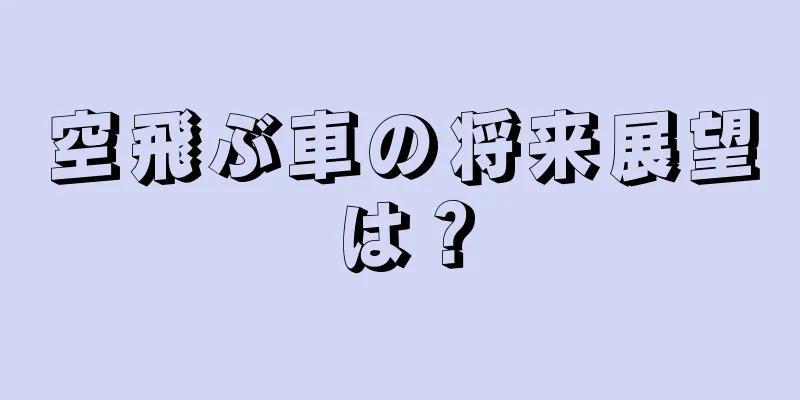 空飛ぶ車の将来展望は？