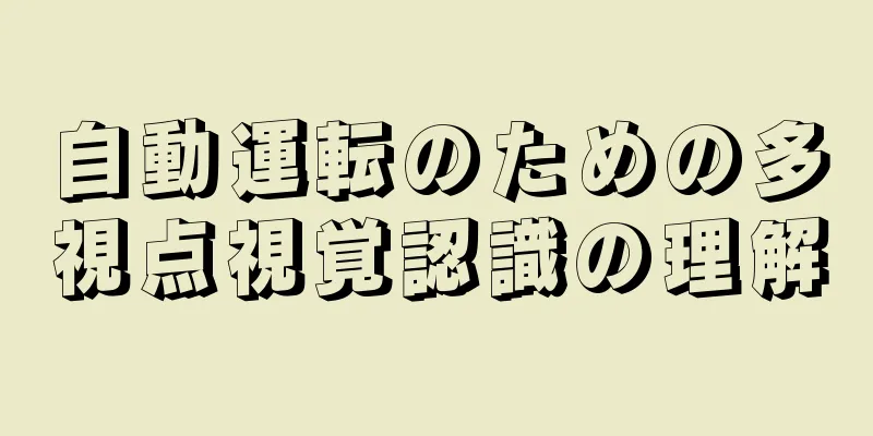 自動運転のための多視点視覚認識の理解