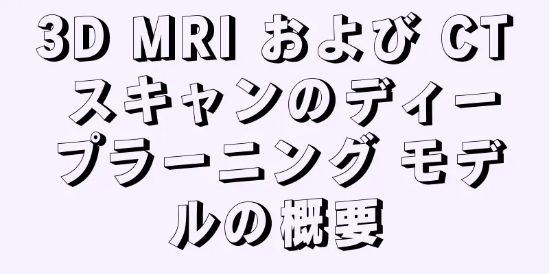 3D MRI および CT スキャンのディープラーニング モデルの概要