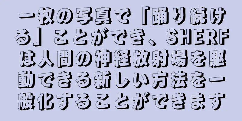 一枚の写真で「踊り続ける」ことができ、SHERFは人間の神経放射場を駆動できる新しい方法を一般化することができます
