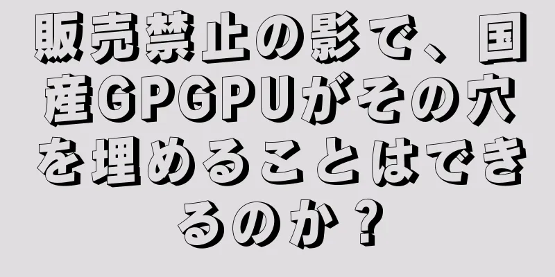 販売禁止の影で、国産GPGPUがその穴を埋めることはできるのか？