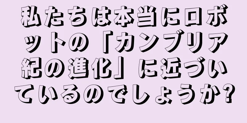 私たちは本当にロボットの「カンブリア紀の進化」に近づいているのでしょうか?