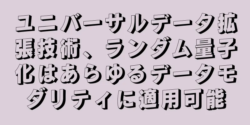 ユニバーサルデータ拡張技術、ランダム量子化はあらゆるデータモダリティに適用可能