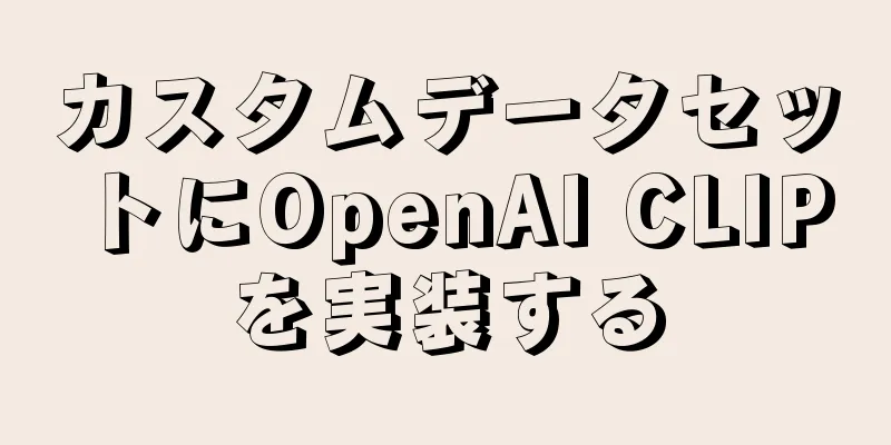 カスタムデータセットにOpenAI CLIPを実装する