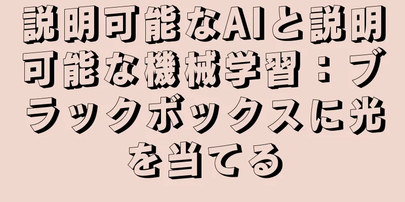 説明可能なAIと説明可能な機械学習：ブラックボックスに光を当てる