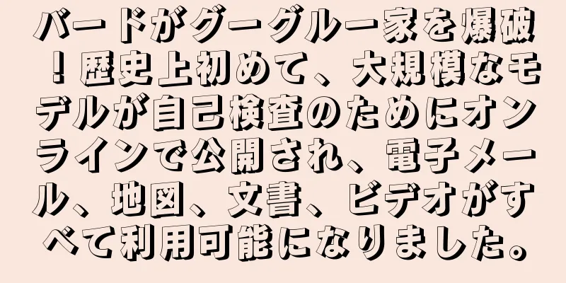 バードがグーグル一家を爆破！歴史上初めて、大規模なモデルが自己検査のためにオンラインで公開され、電子メール、地図、文書、ビデオがすべて利用可能になりました。
