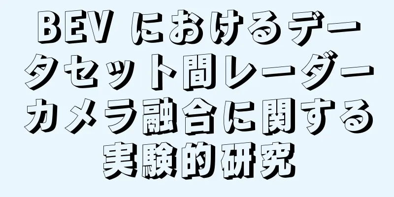 BEV におけるデータセット間レーダーカメラ融合に関する実験的研究