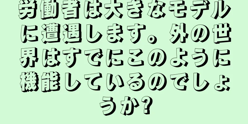 労働者は大きなモデルに遭遇します。外の世界はすでにこのように機能しているのでしょうか?