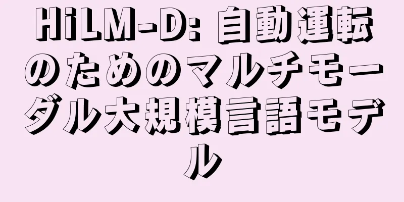 HiLM-D: 自動運転のためのマルチモーダル大規模言語モデル
