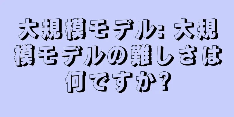 大規模モデル: 大規模モデルの難しさは何ですか?