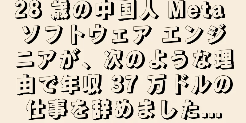 28 歳の中国人 Meta ソフトウェア エンジニアが、次のような理由で年収 37 万ドルの仕事を辞めました...