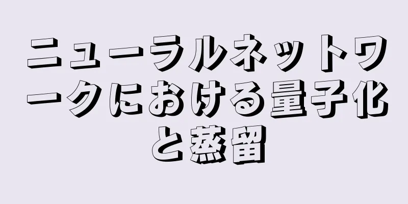 ニューラルネットワークにおける量子化と蒸留