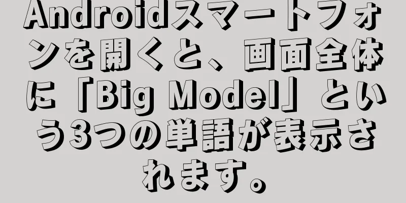 Androidスマートフォンを開くと、画面全体に「Big Model」という3つの単語が表示されます。
