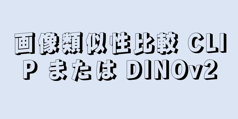 画像類似性比較 CLIP または DINOv2
