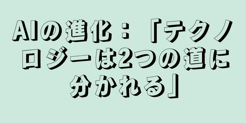 AIの進化：「テクノロジーは2つの道に分かれる」