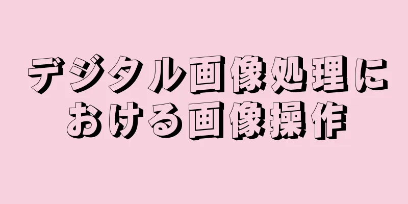 デジタル画像処理における画像操作