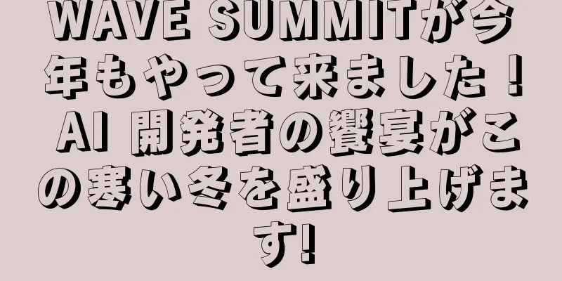 WAVE SUMMITが今年もやって来ました！ AI 開発者の饗宴がこの寒い冬を盛り上げます!