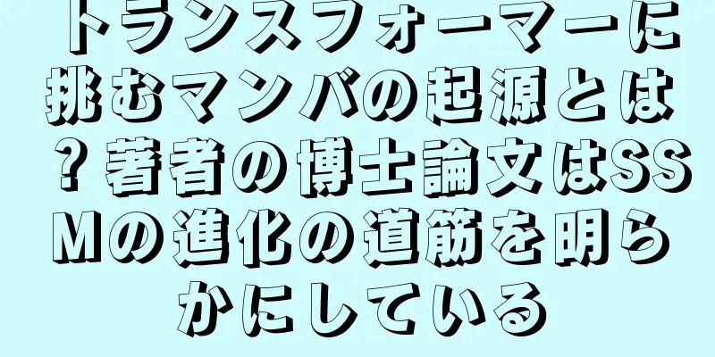 トランスフォーマーに挑むマンバの起源とは？著者の博士論文はSSMの進化の道筋を明らかにしている