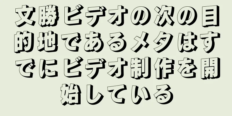 文勝ビデオの次の目的地であるメタはすでにビデオ制作を開始している